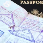 From Visas to Citizenship: Exploring Different Types of Immigration Law Cases