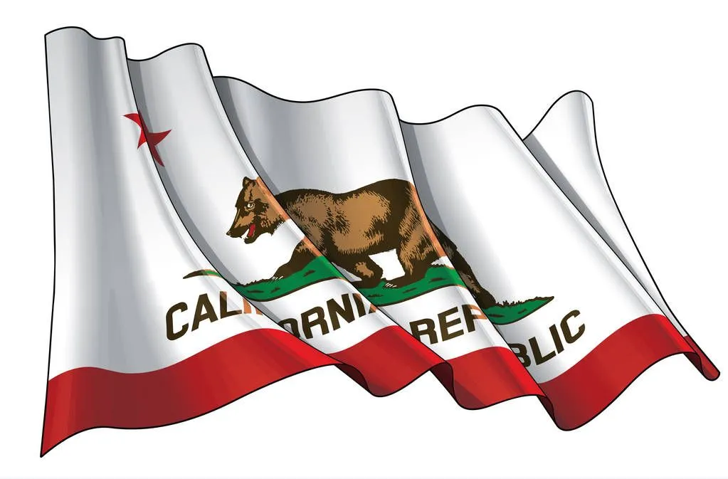 How-Are-Criminal-Cases-Dealt-With-in-California_