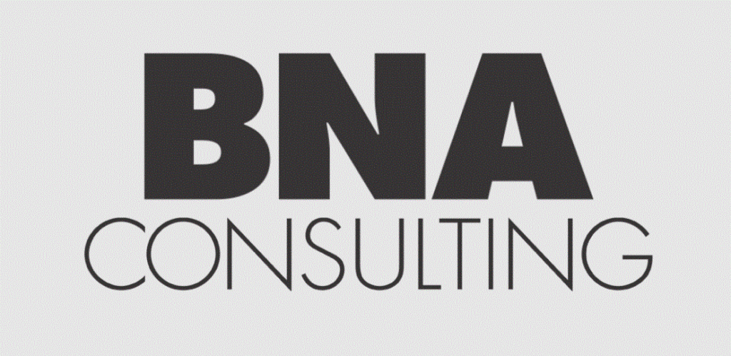 BNA Consulting Services Ltd: Your Partner in Business Excellence