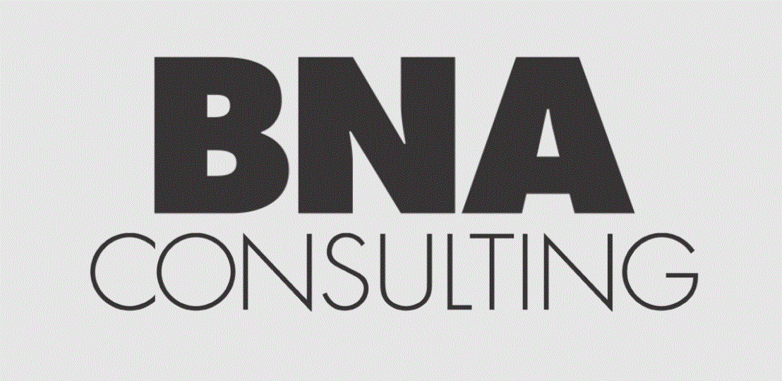 BNA Consulting Services Ltd: Your Partner in Business Excellence