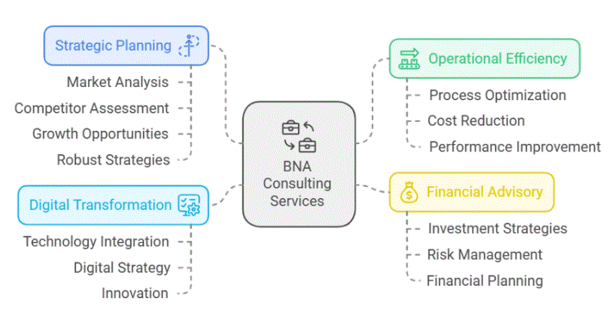 Core Services and Solutions Offered by BNA Consulting